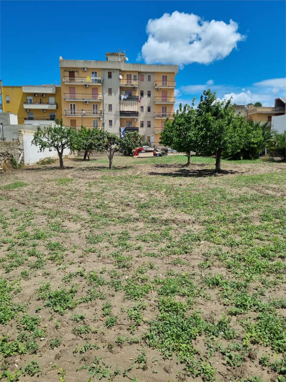 immagine annuncio 2 di 4