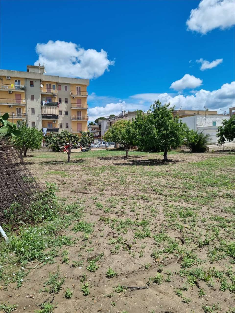 immagine annuncio 1 di 4