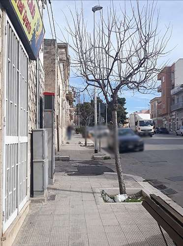 immagine annuncio 2 di 4