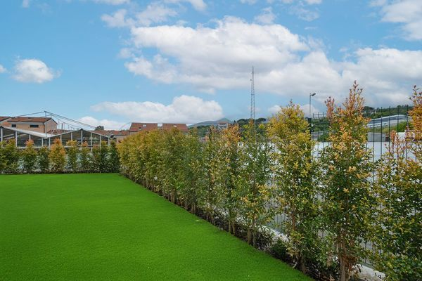 immagine annuncio 2 di 10