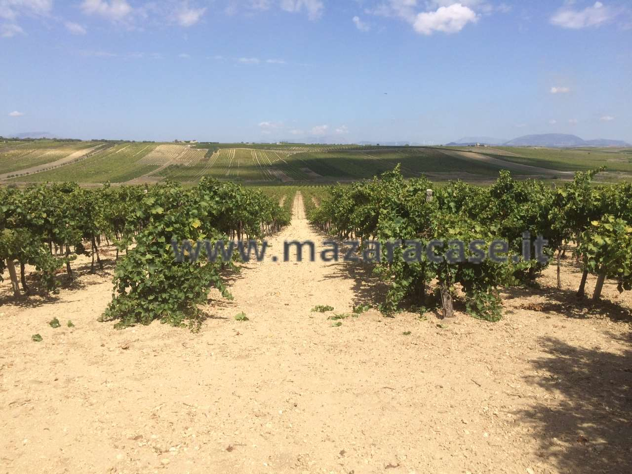 immagine annuncio 8 di 9