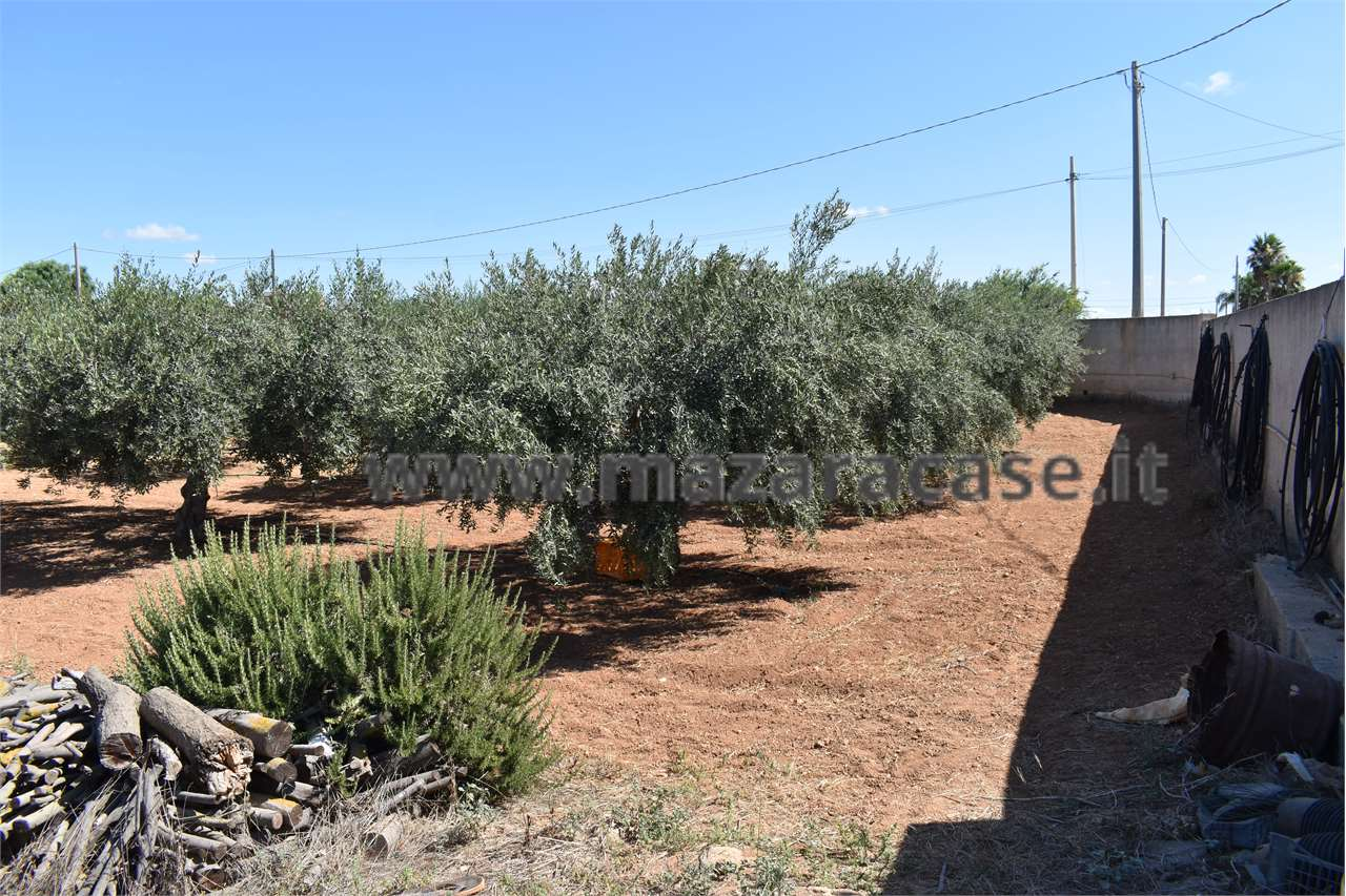 immagine annuncio 0 di 5