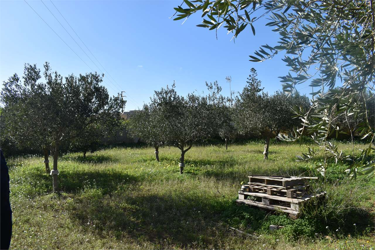 immagine annuncio 2 di 4