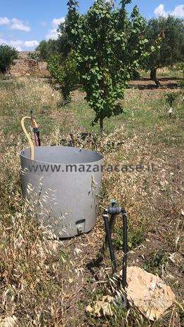 immagine annuncio 2 di 6