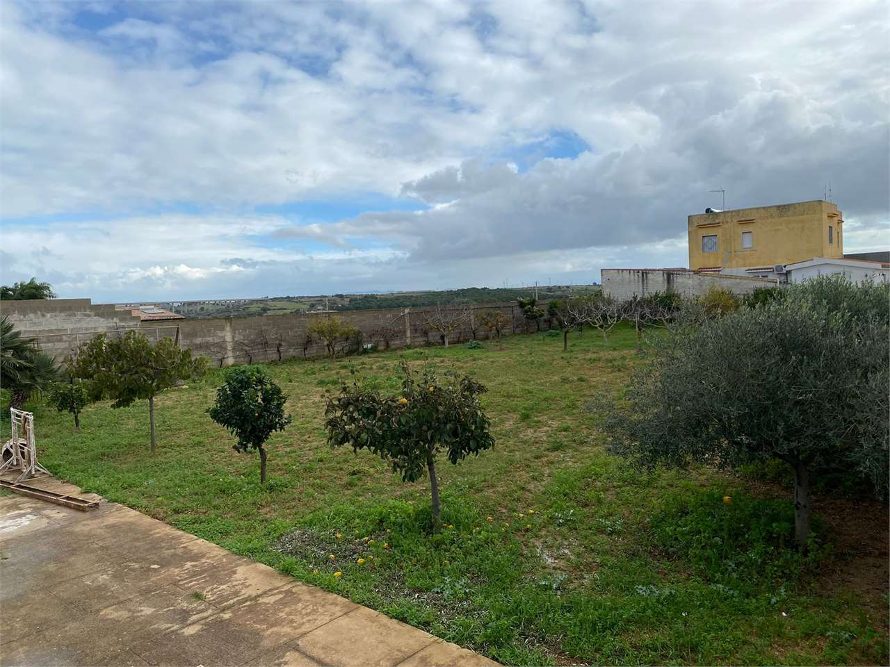immagine annuncio 5 di 8