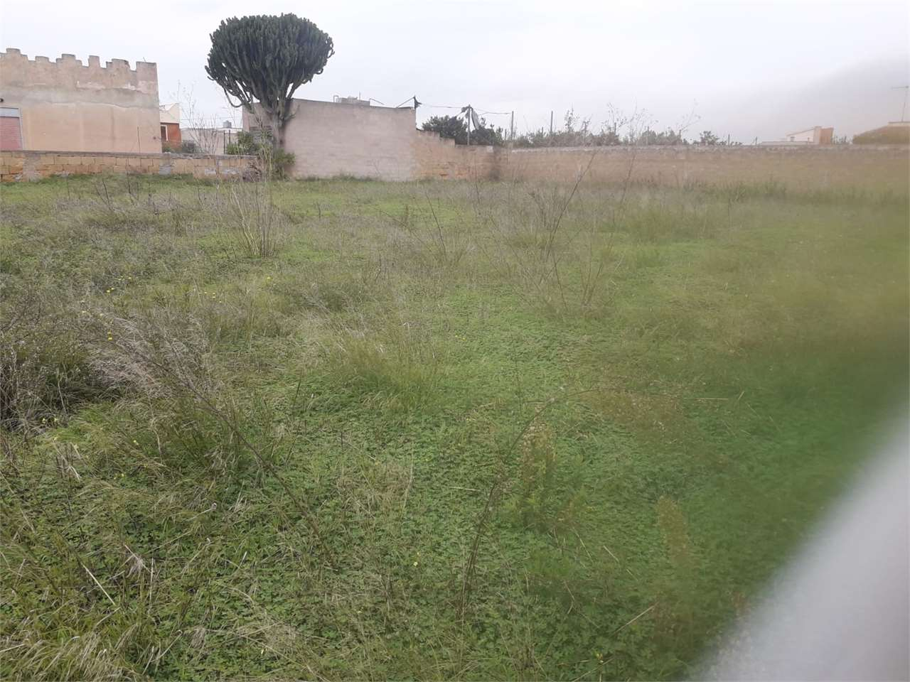 immagine annuncio 3 di 6
