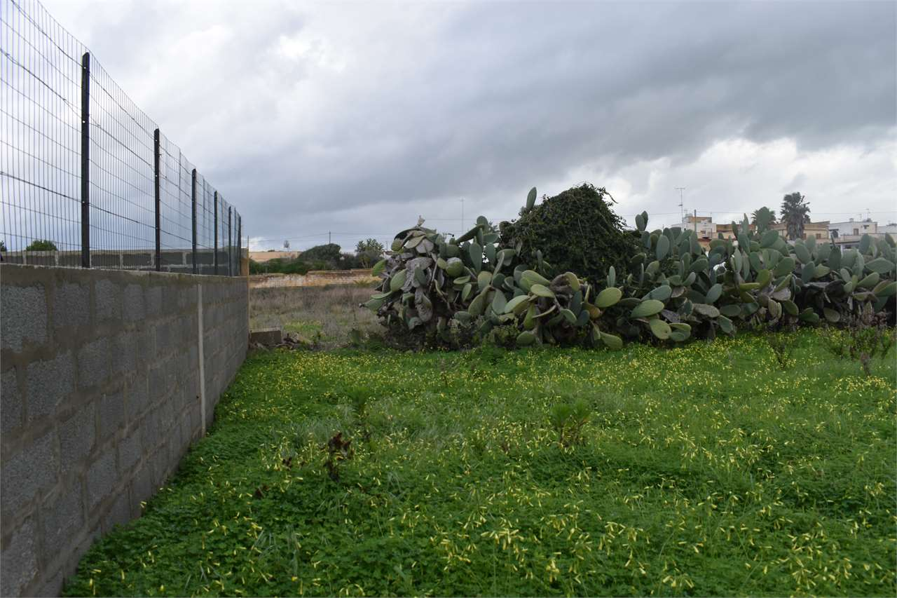 immagine annuncio 5 di 6
