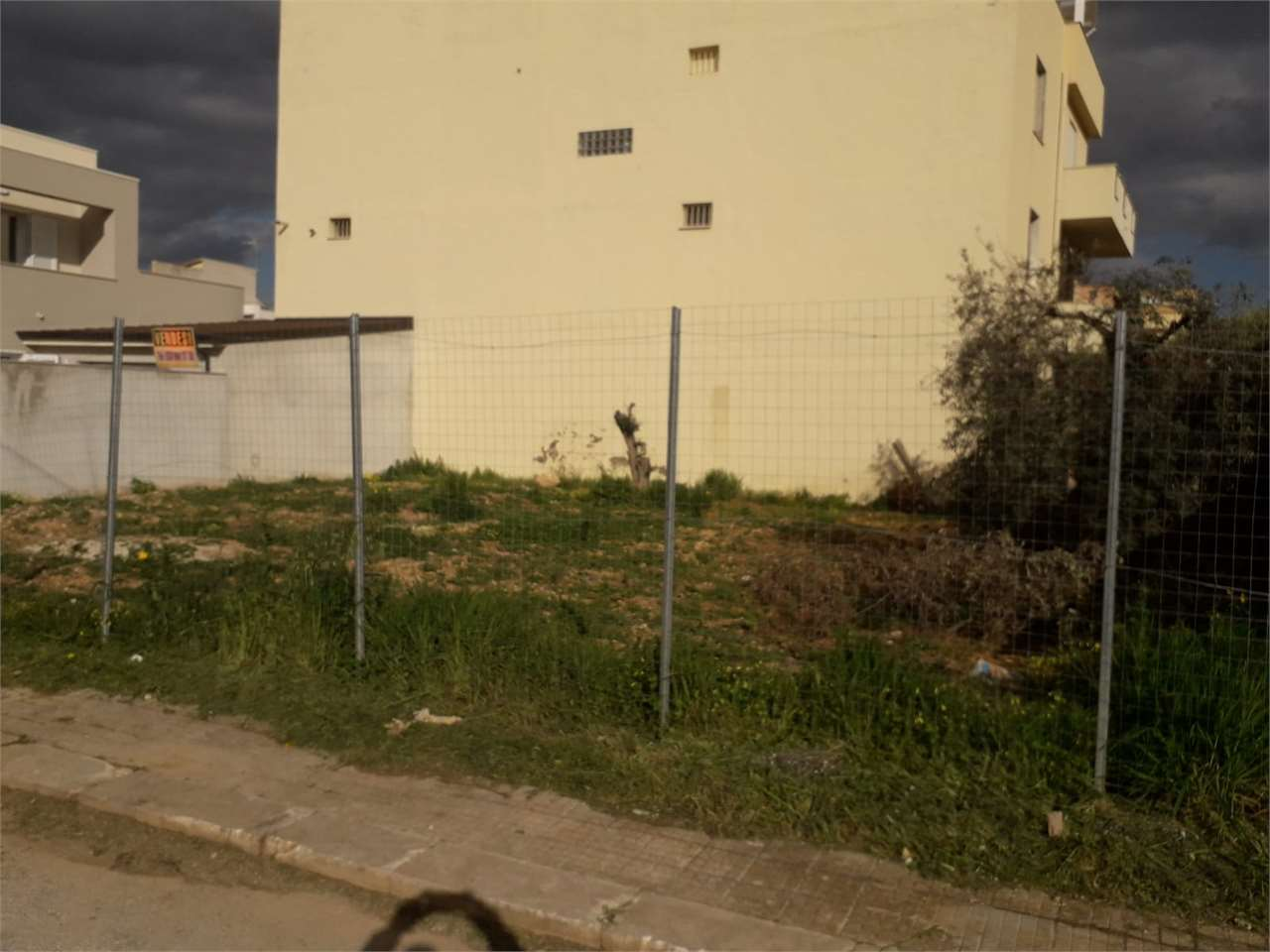 immagine annuncio 1 di 2