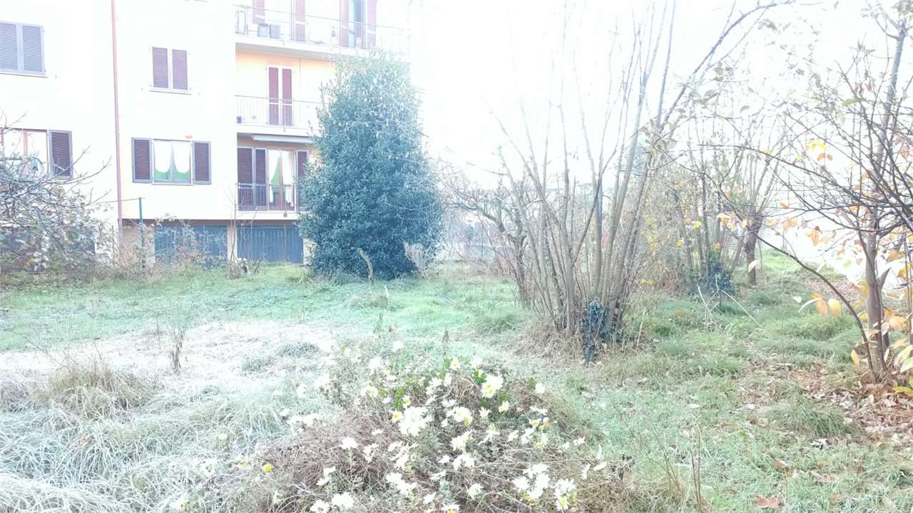 immagine annuncio 3 di 8