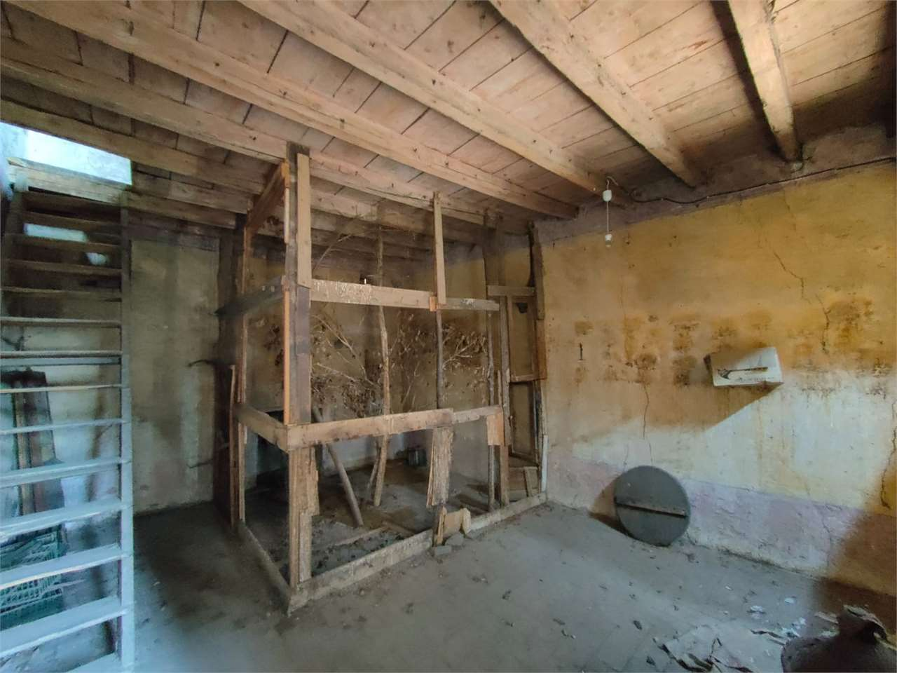 immagine annuncio 3 di 6