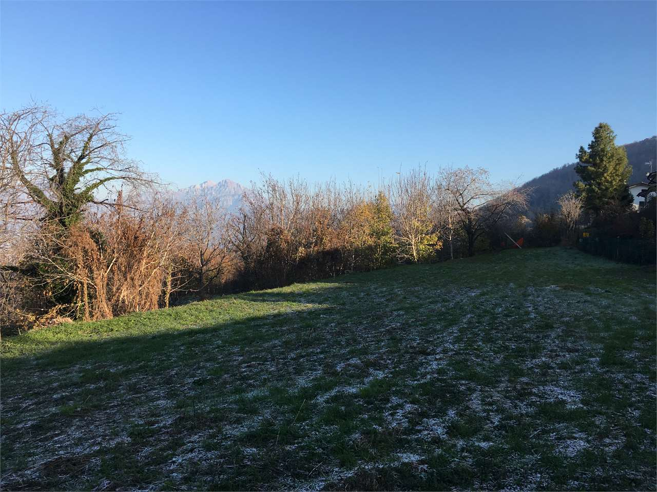 immagine annuncio 3 di 4