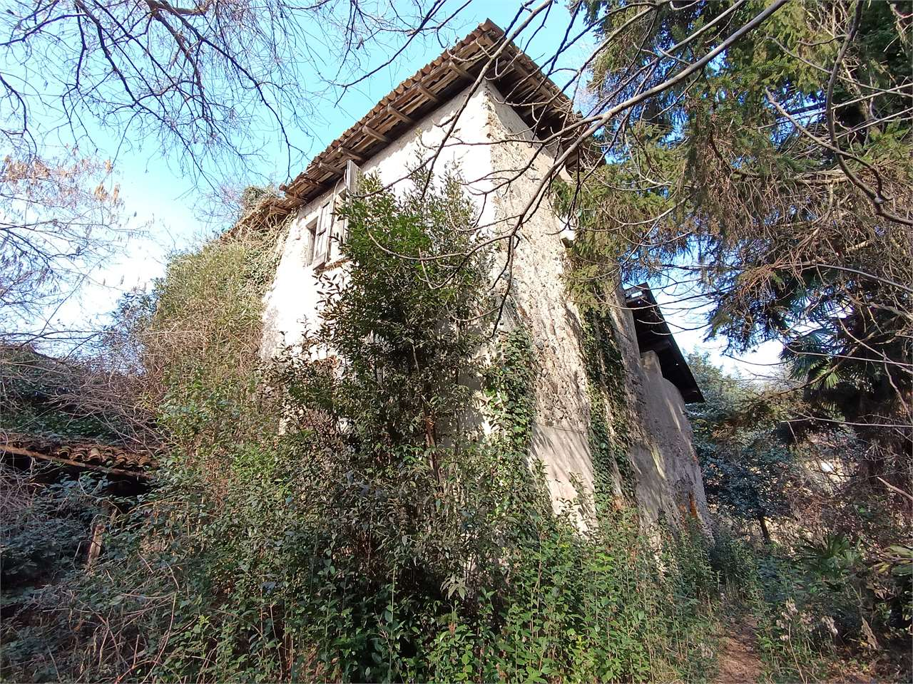 immagine annuncio 3 di 10