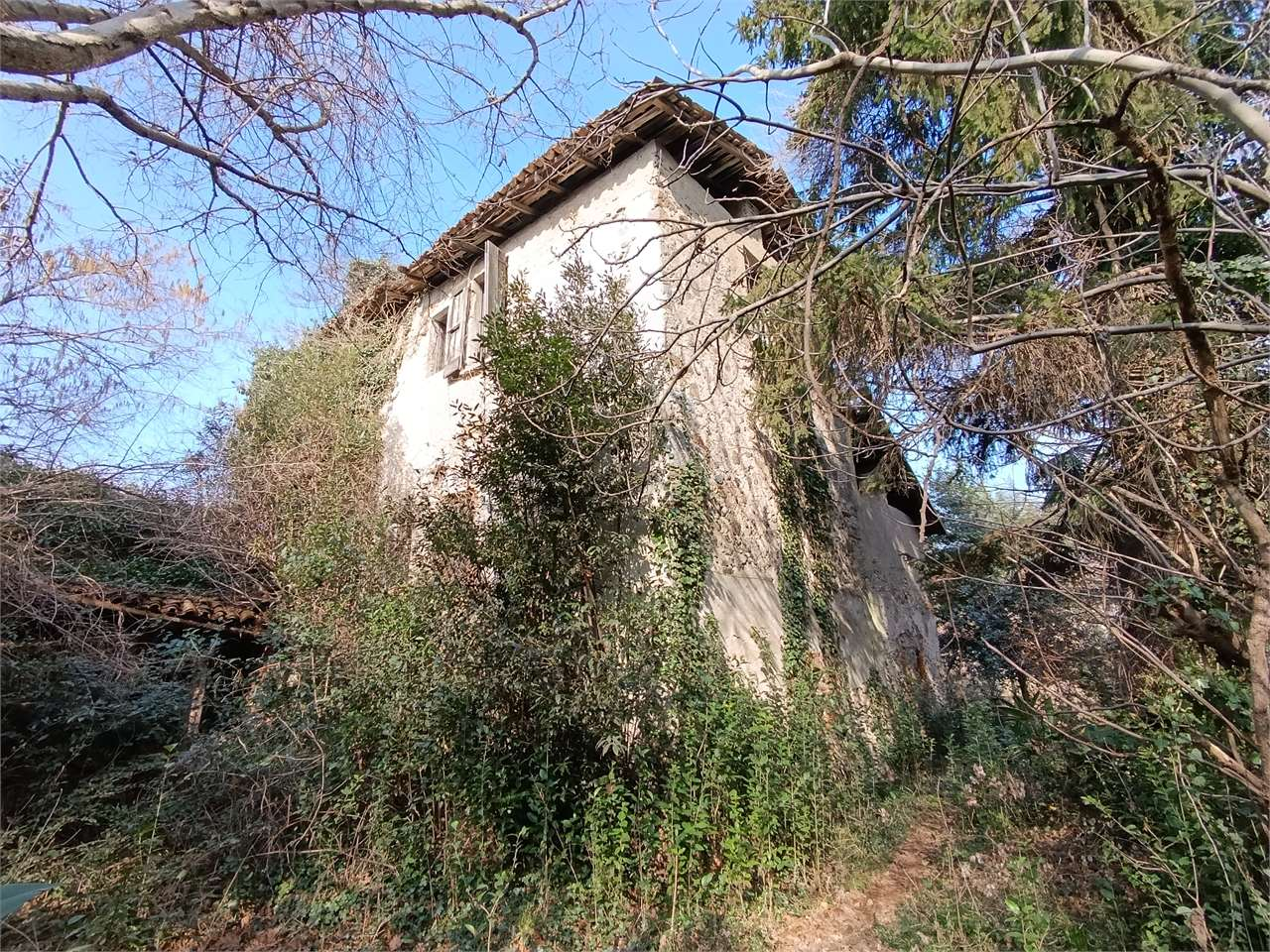 immagine annuncio 2 di 10