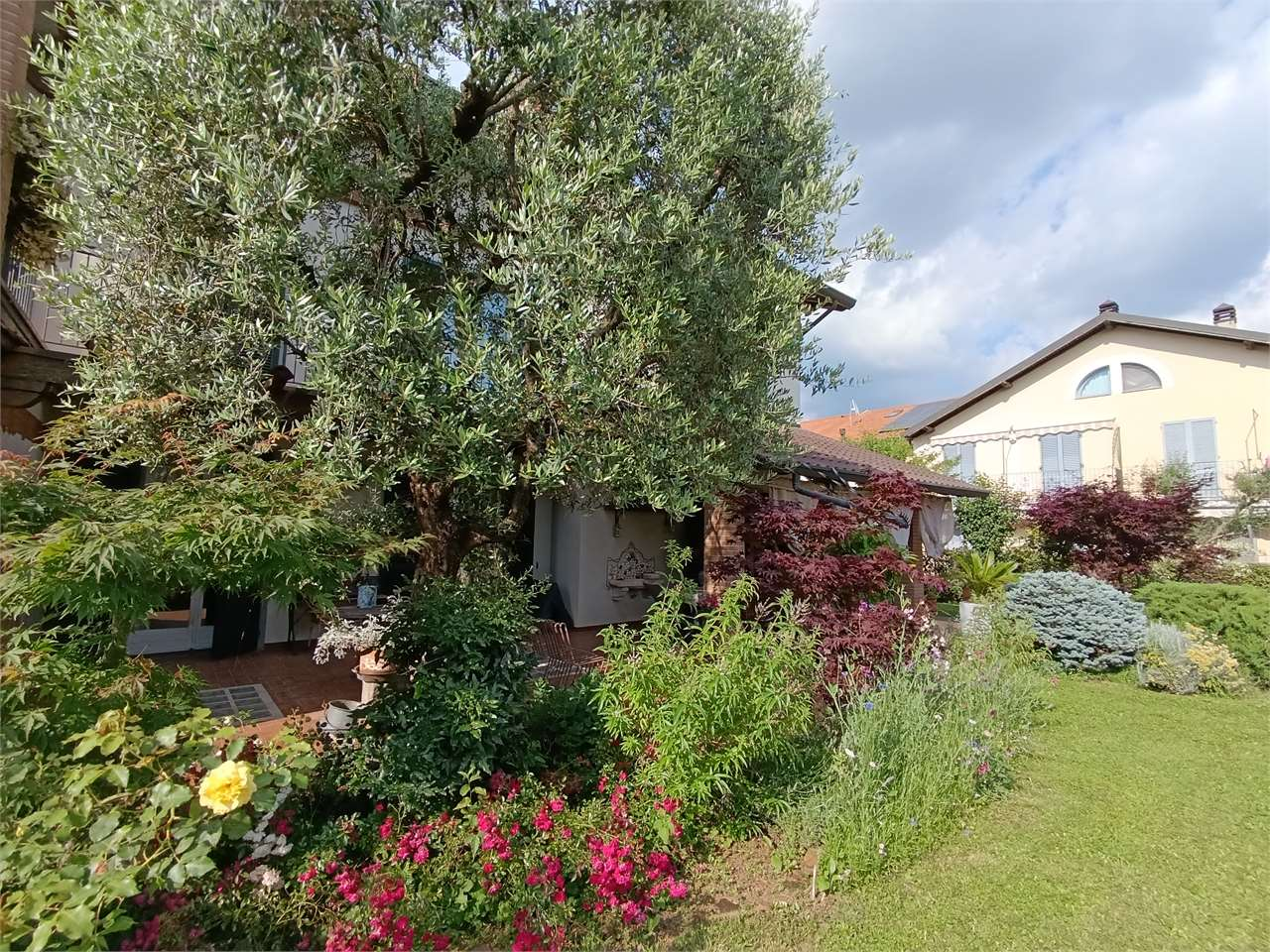 immagine annuncio 4 di 10