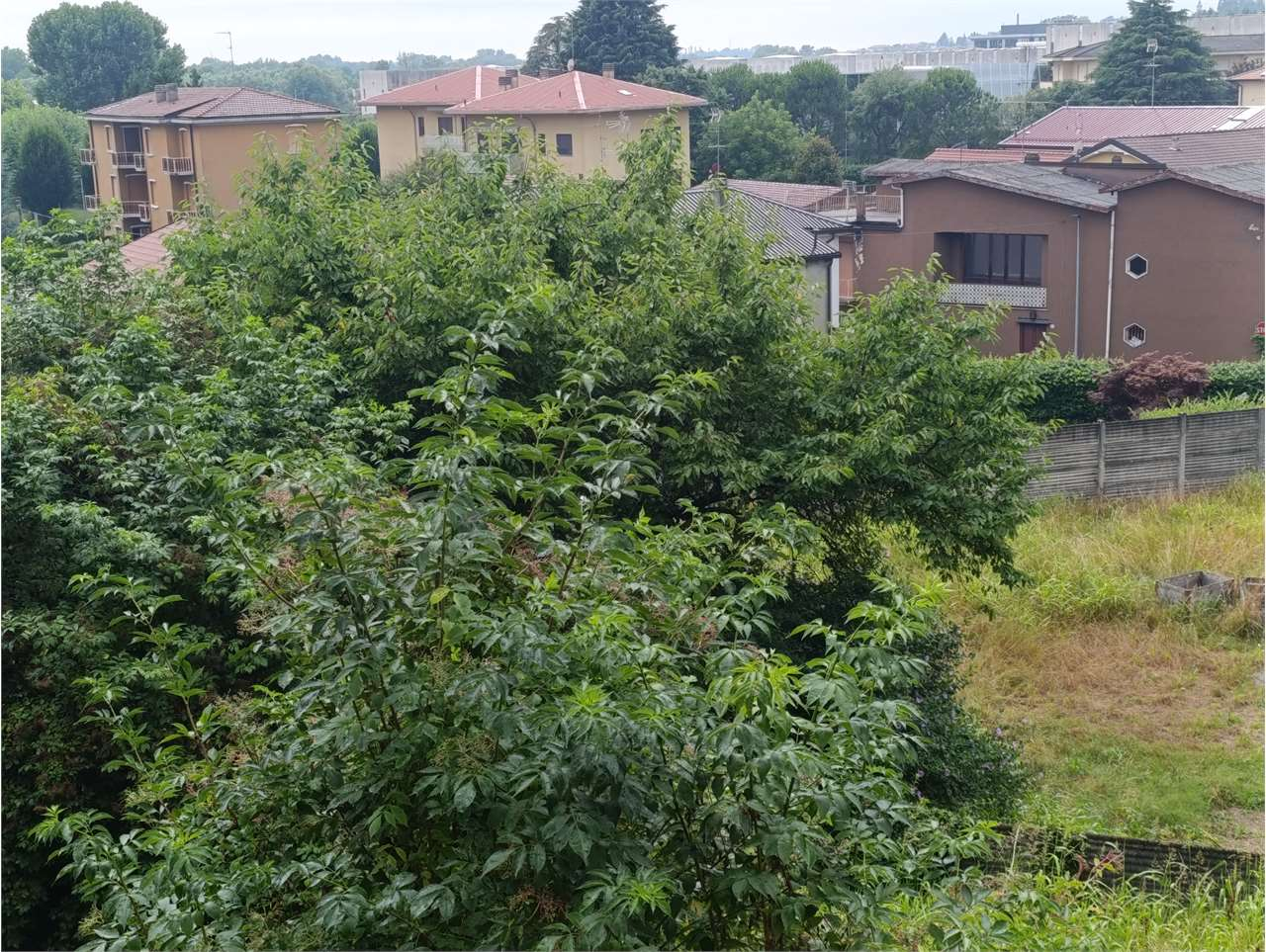 immagine annuncio 3 di 9