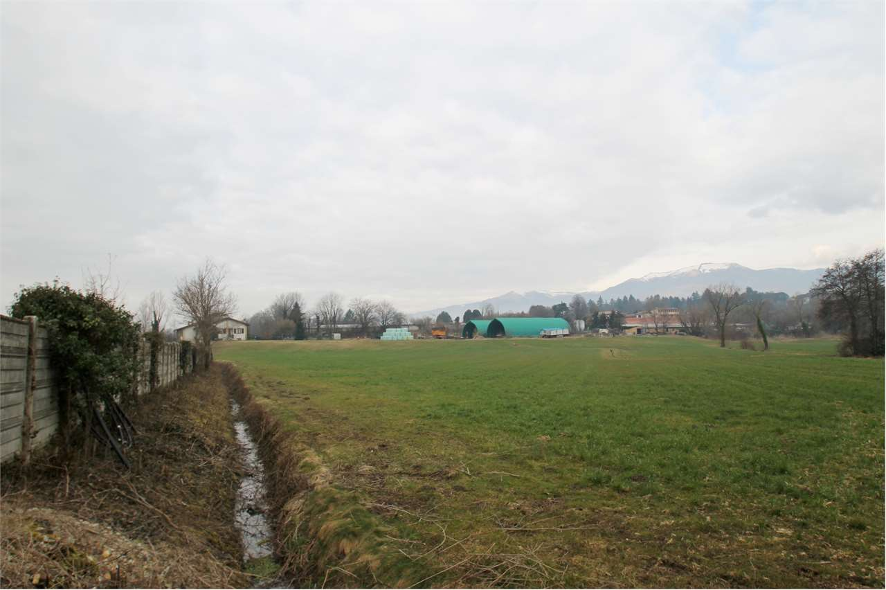 immagine annuncio 1 di 4