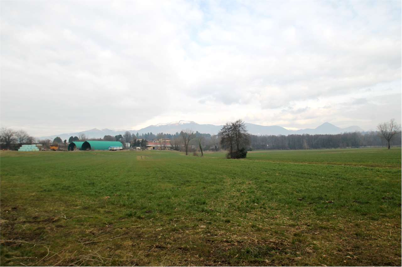 immagine annuncio 2 di 4