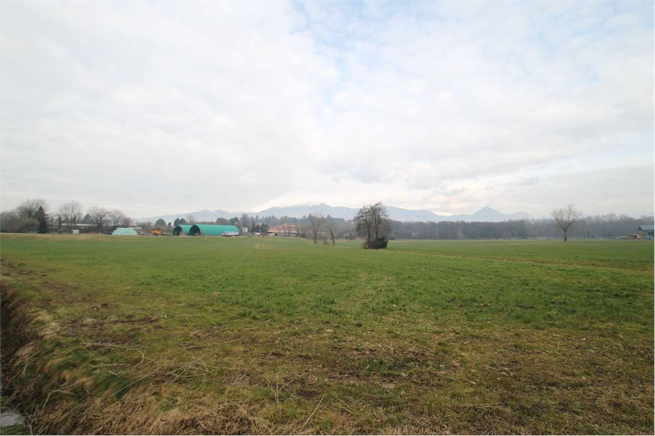 immagine annuncio 3 di 4