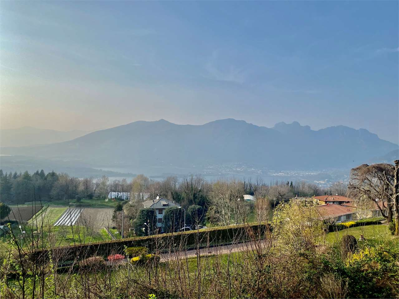 immagine annuncio 6 di 10