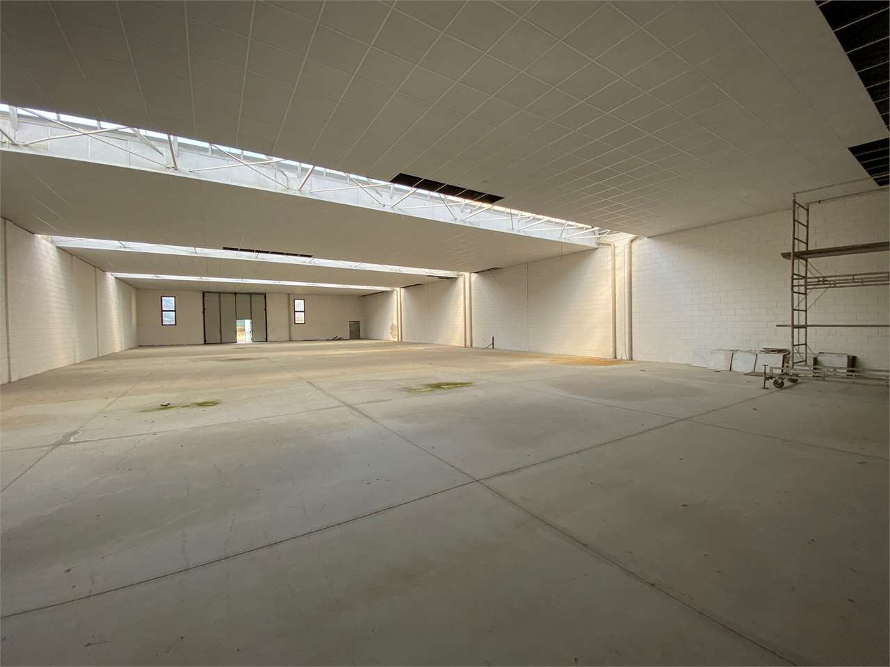 immagine annuncio 5 di 7