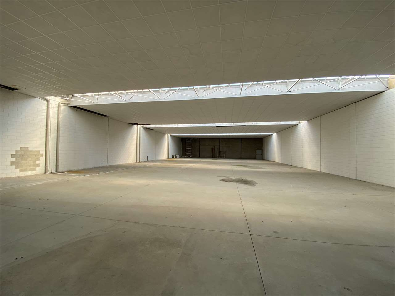 immagine annuncio 4 di 7