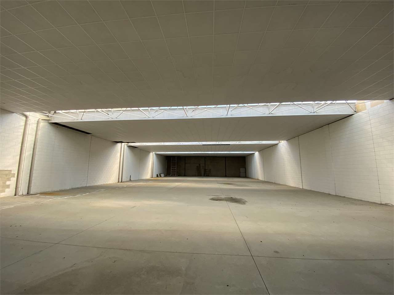 immagine annuncio 6 di 7