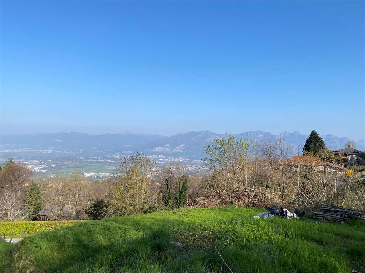 immagine annuncio 2 di 7