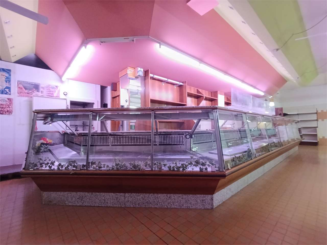 immagine annuncio 4 di 8