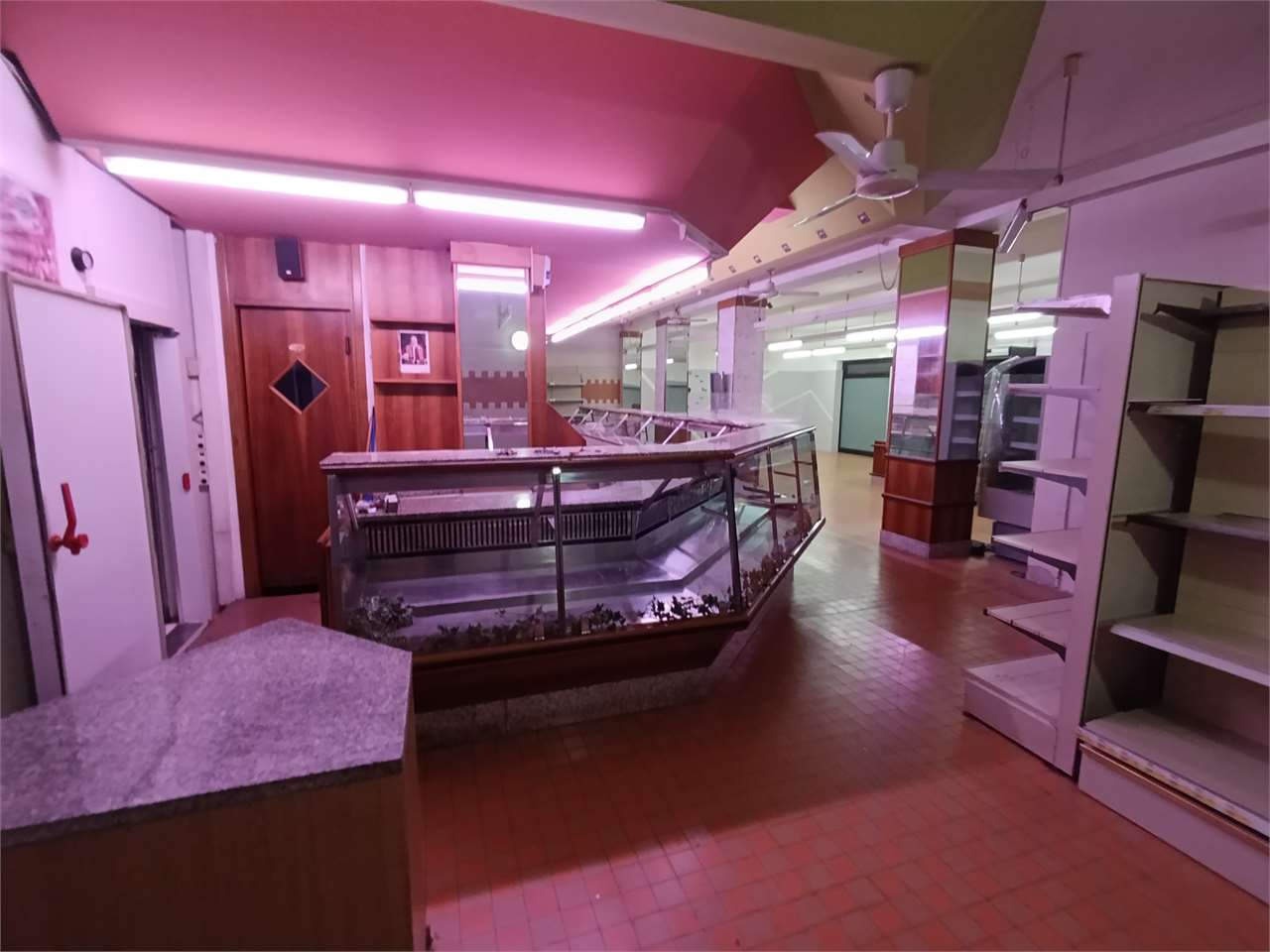 immagine annuncio 6 di 8