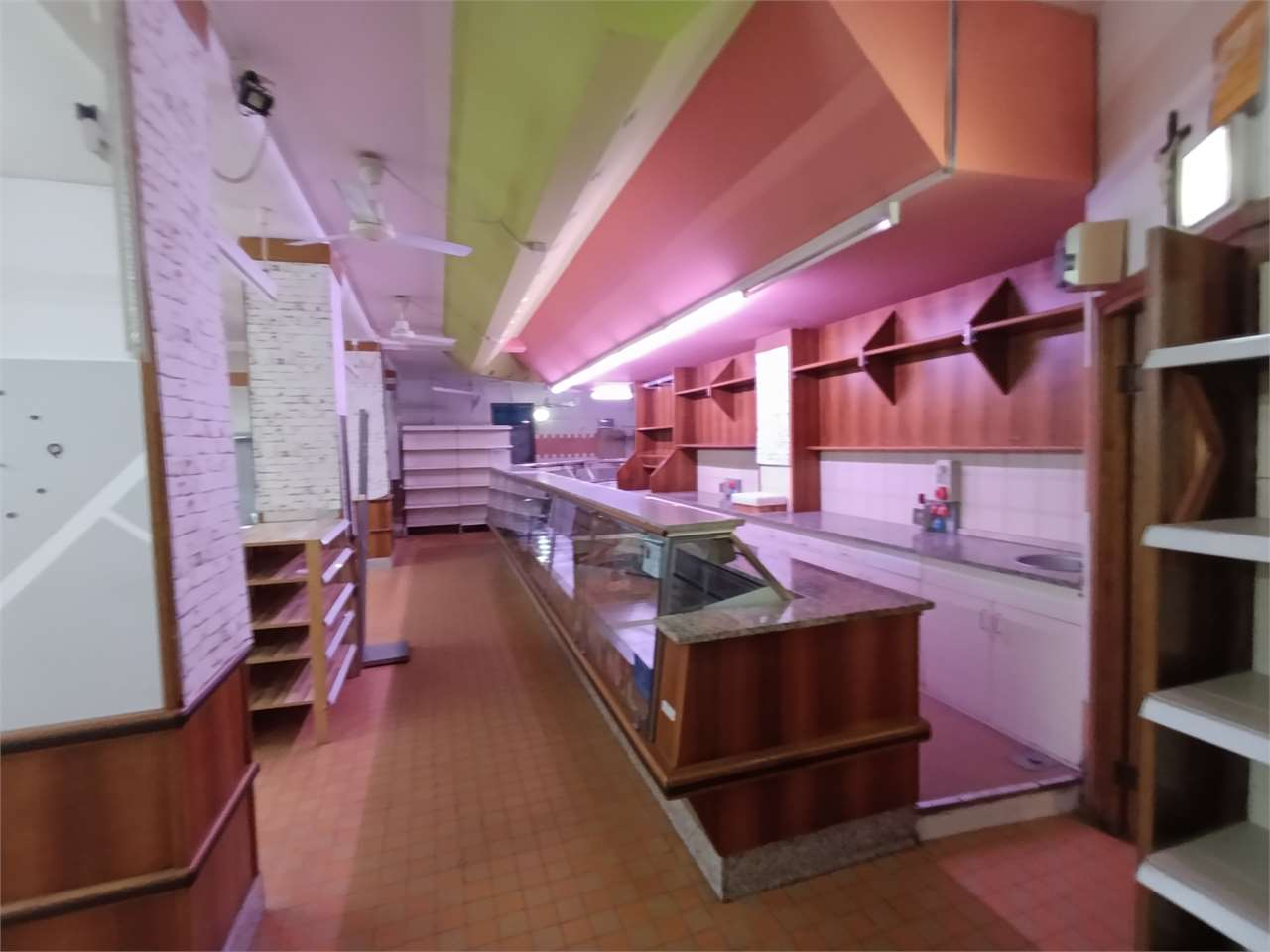 immagine annuncio 7 di 8