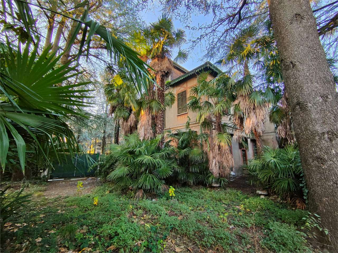 immagine annuncio 2 di 10