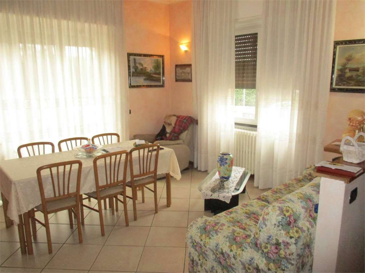 immagine annuncio 2 di 10