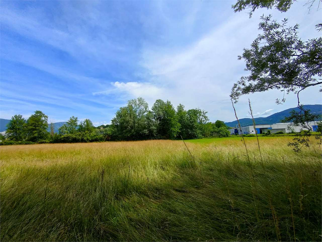 immagine annuncio 2 di 8