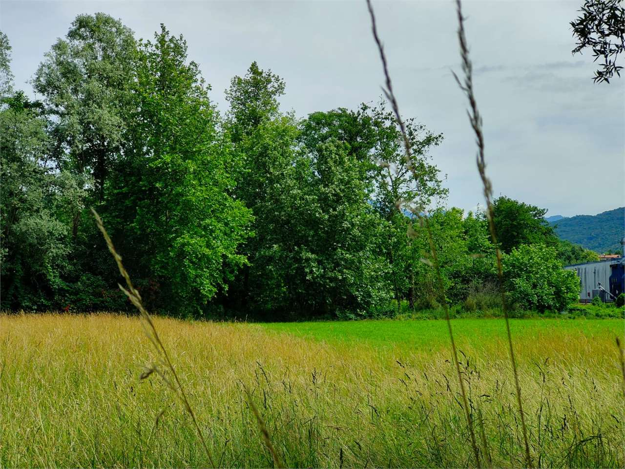 immagine annuncio 3 di 8