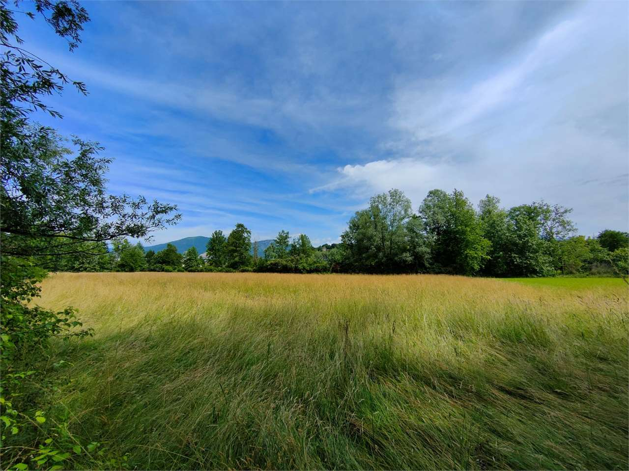 immagine annuncio 5 di 8