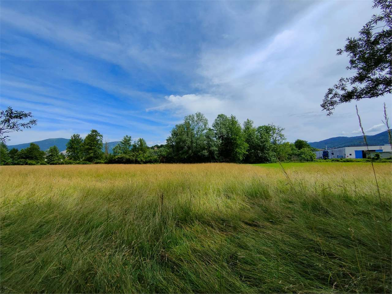 immagine annuncio 6 di 8