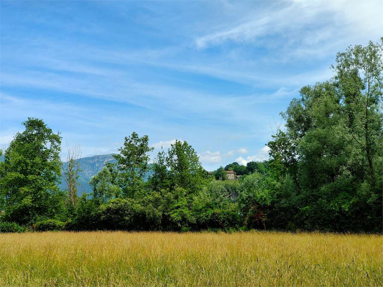 immagine annuncio 7 di 8