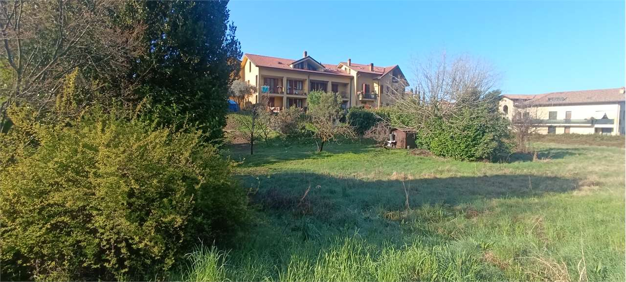 immagine annuncio 2 di 4