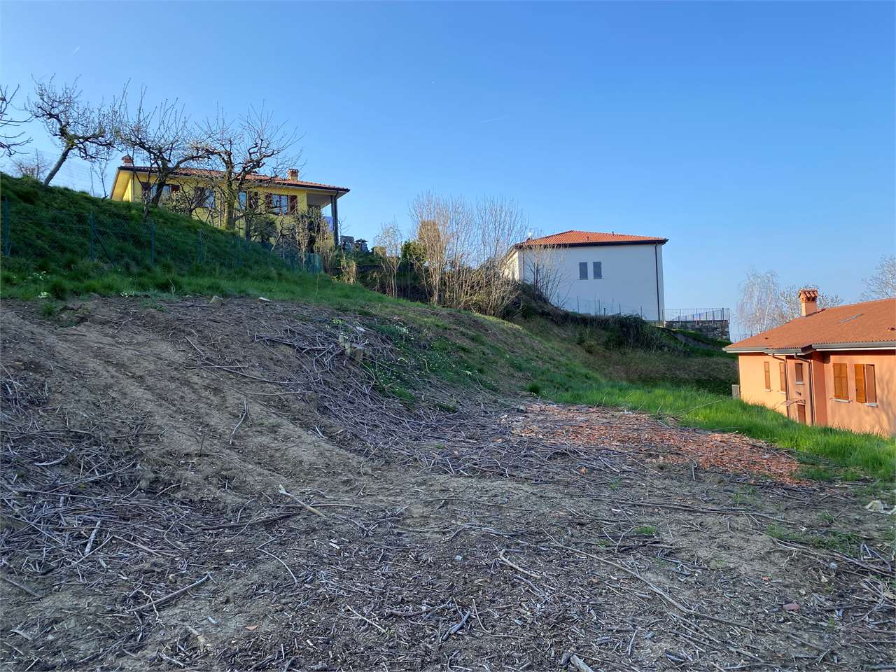 immagine annuncio 4 di 7