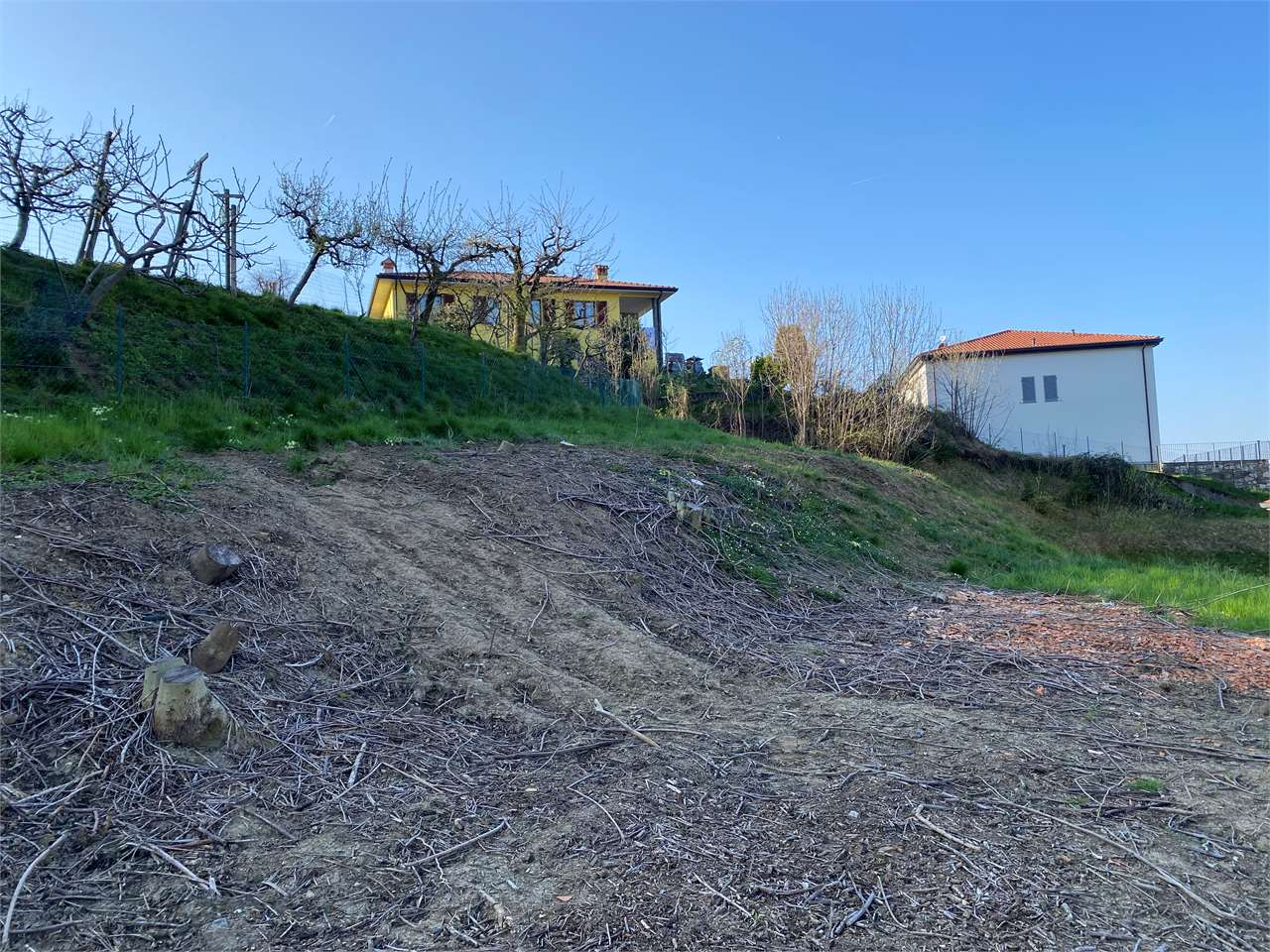 immagine annuncio 5 di 7