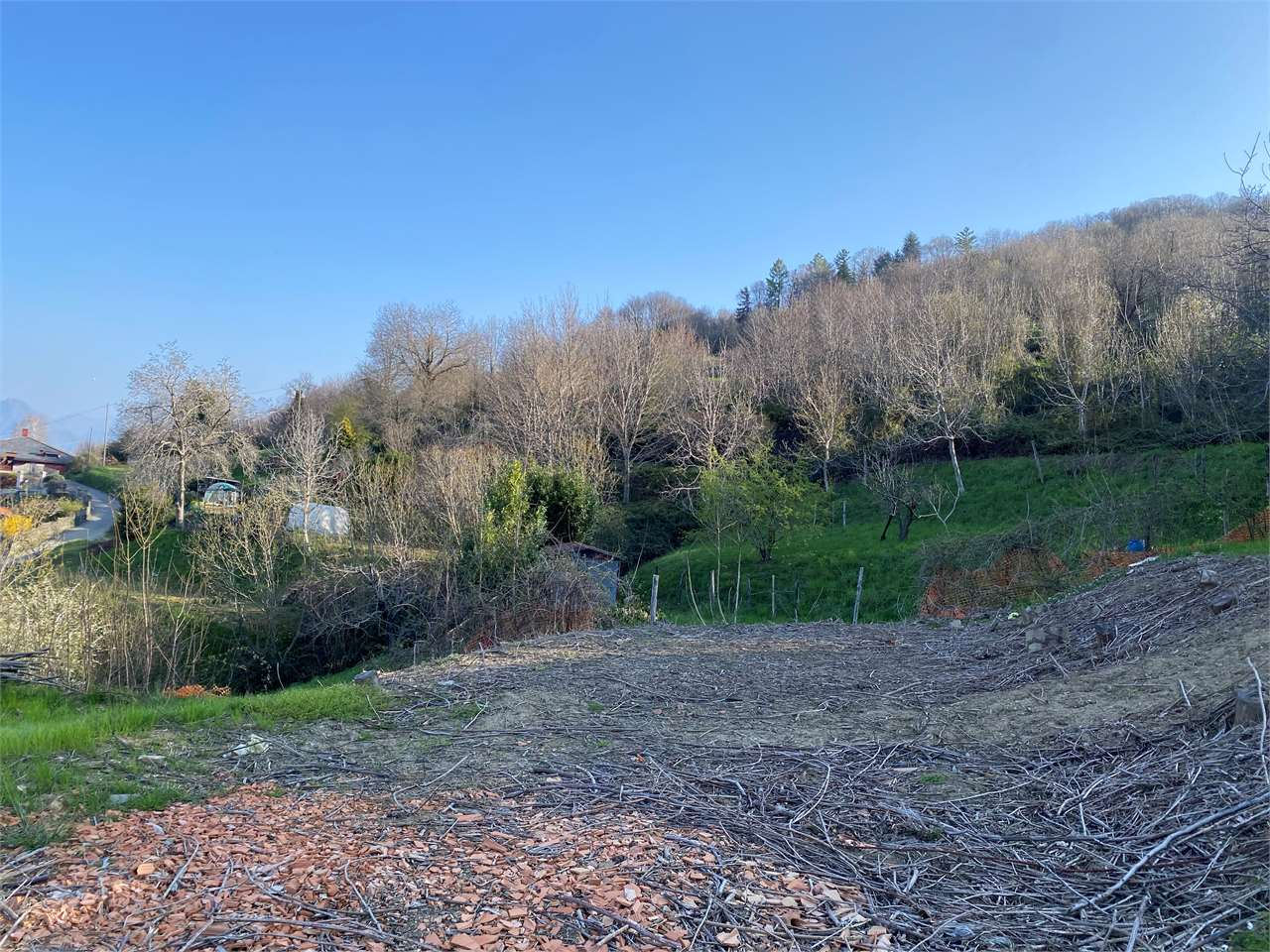 immagine annuncio 6 di 7