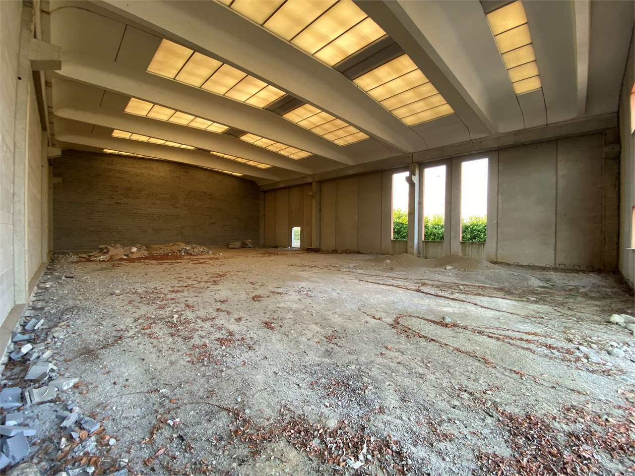 immagine annuncio 6 di 9