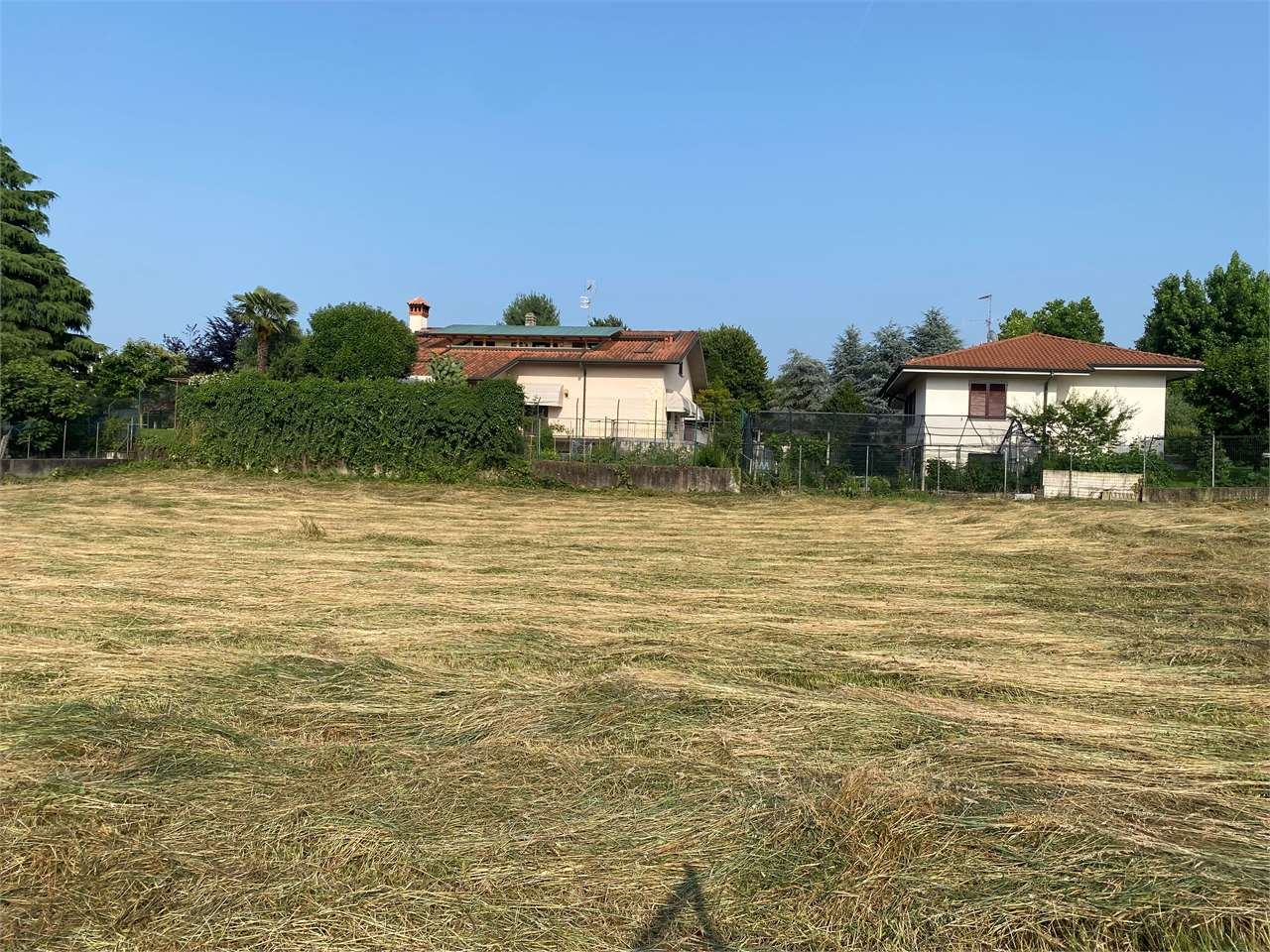 immagine annuncio 7 di 8