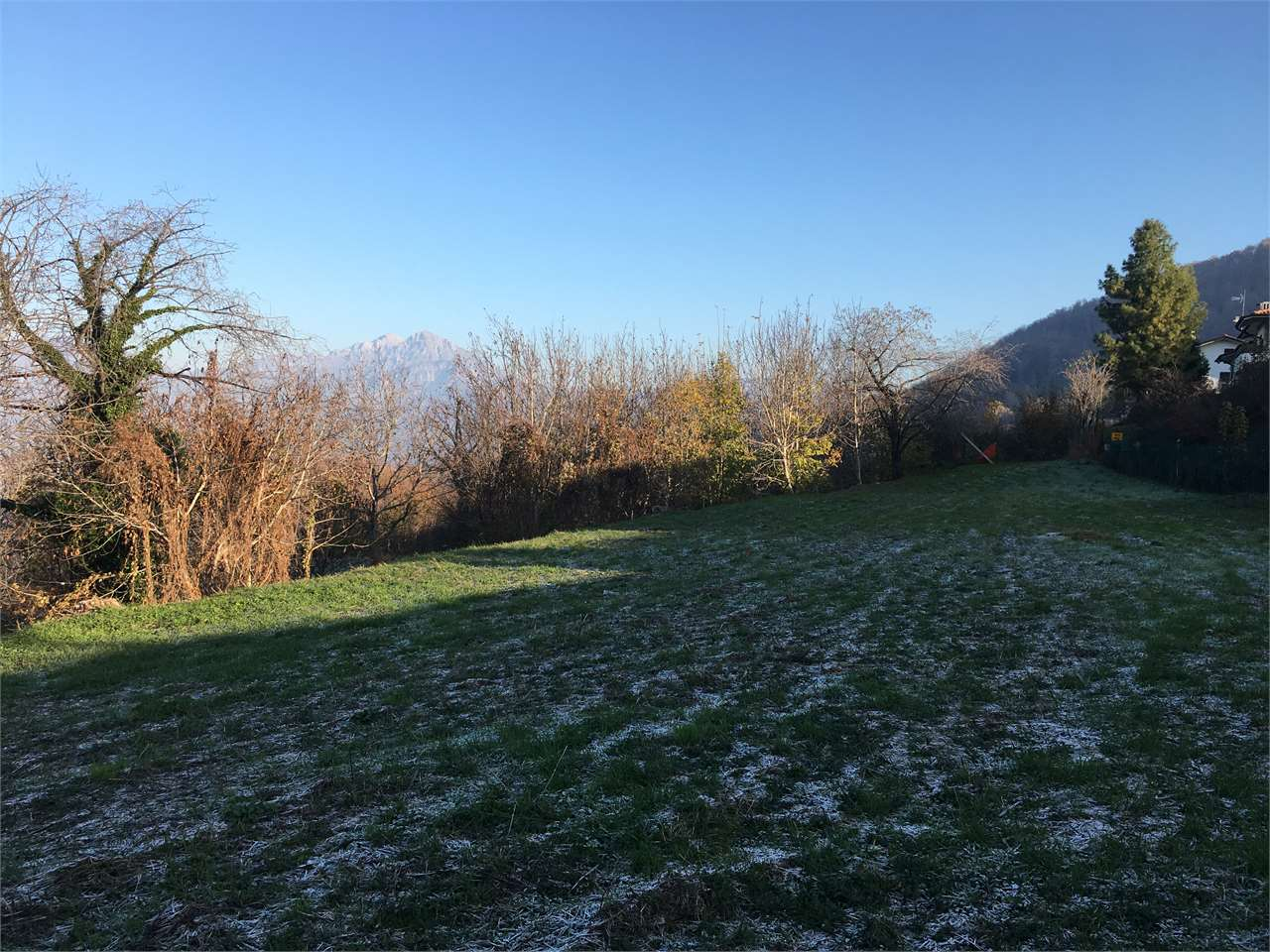 immagine annuncio 1 di 4