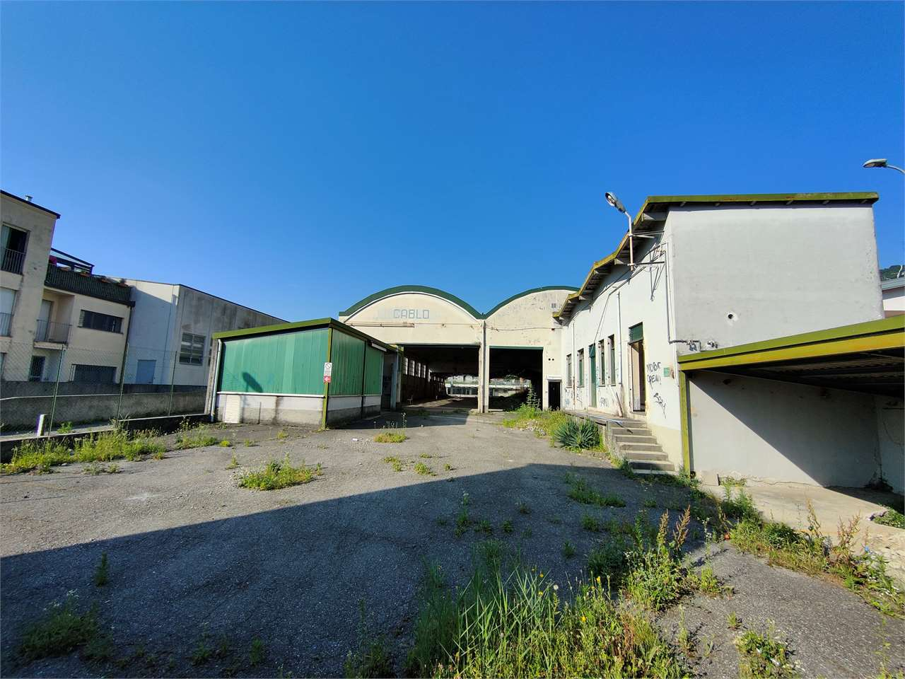 immagine annuncio 4 di 8