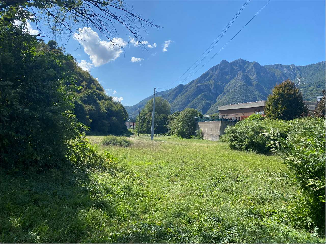 immagine annuncio 1 di 4