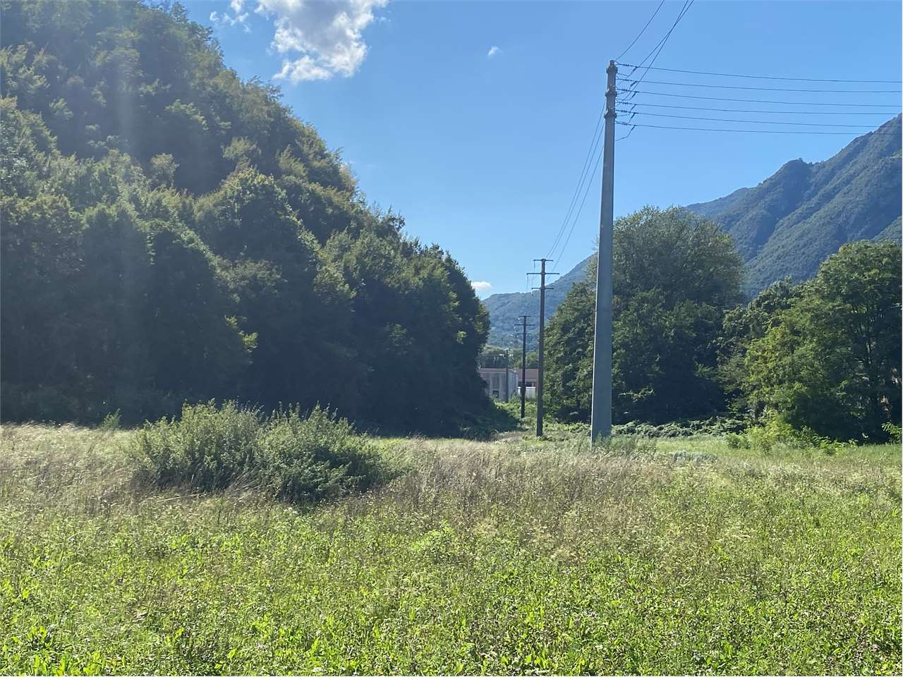 immagine annuncio 2 di 4