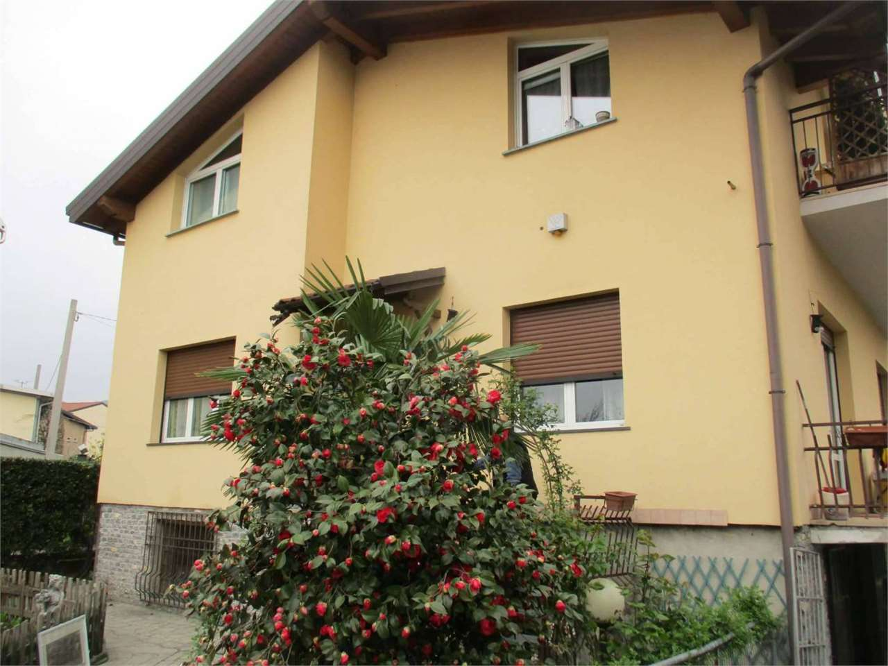 immagine annuncio 1 di 10