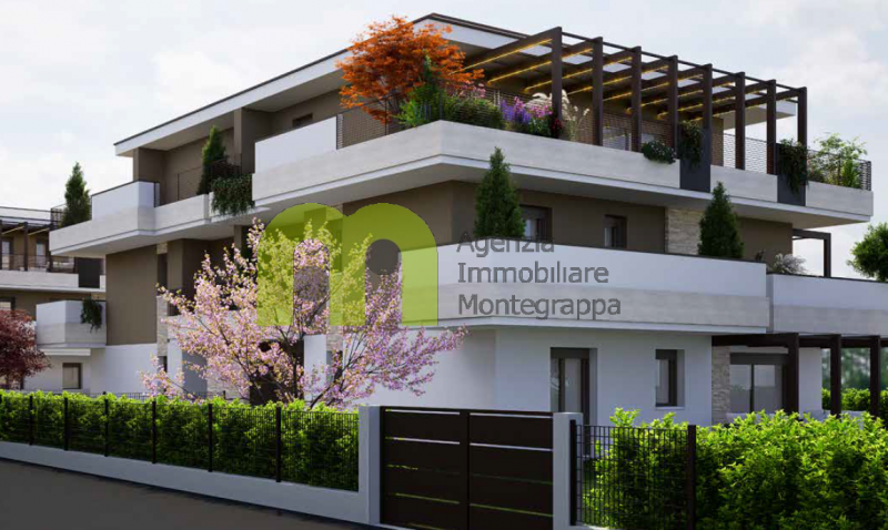 immagine annuncio 4 di 8