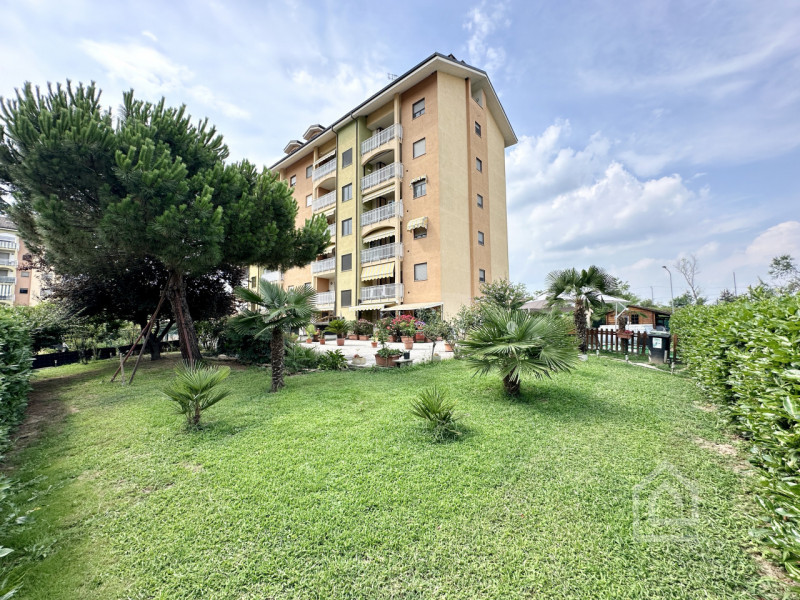 immagine annuncio 2 di 10